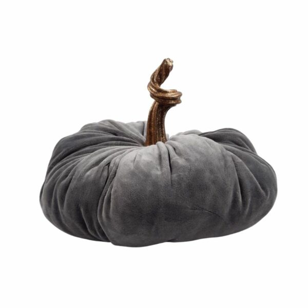 Citrouille grey