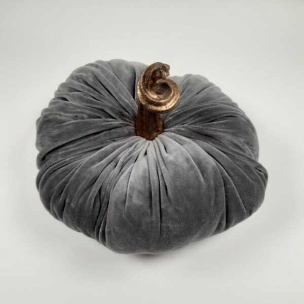 Citrouille grey – Image 2