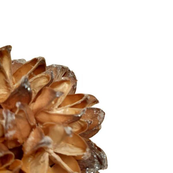 Boule de Noël Seeds – Image 2