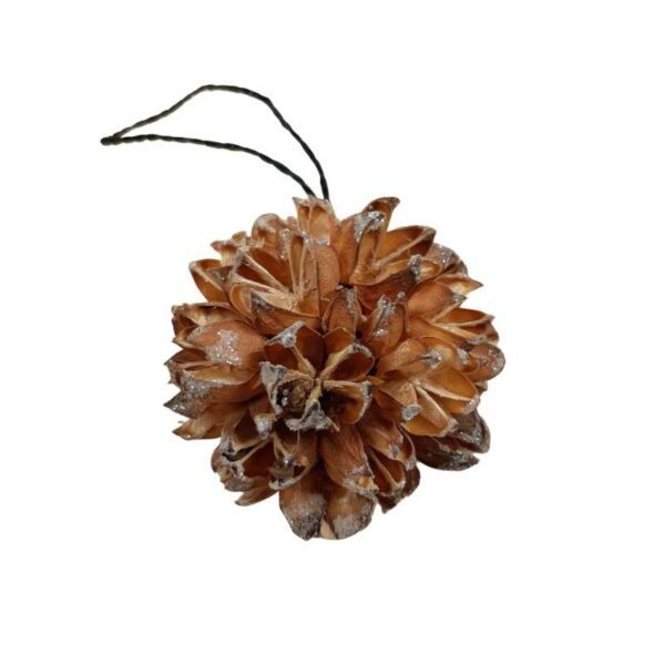 Boule de Noël Seeds