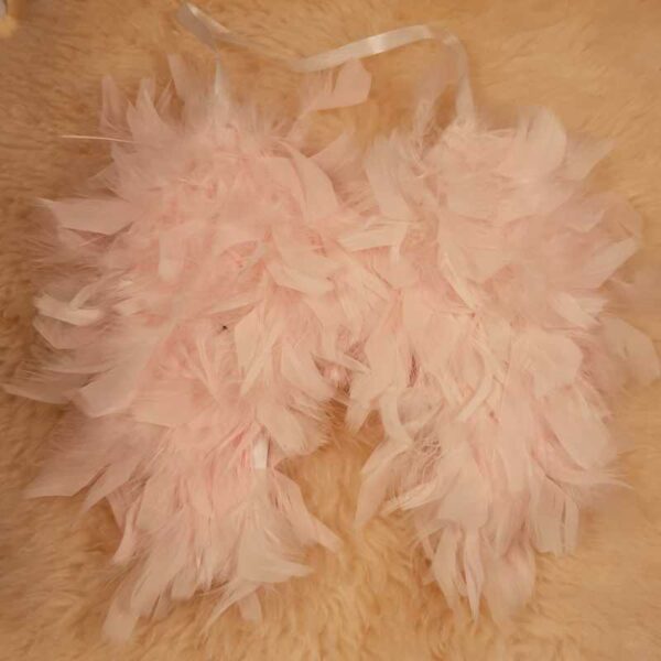 2 paires d'ailes d'ange – Image 5