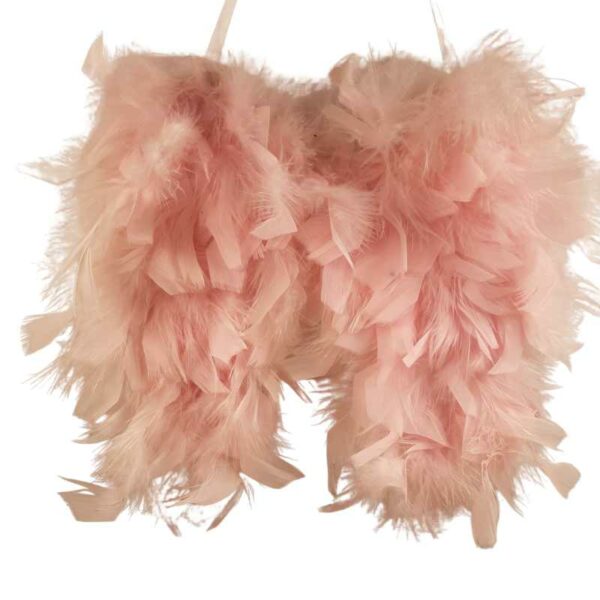 2 paires d'ailes d'ange