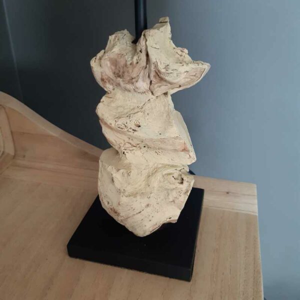 Lampe à poser en bois blanchi – Image 3