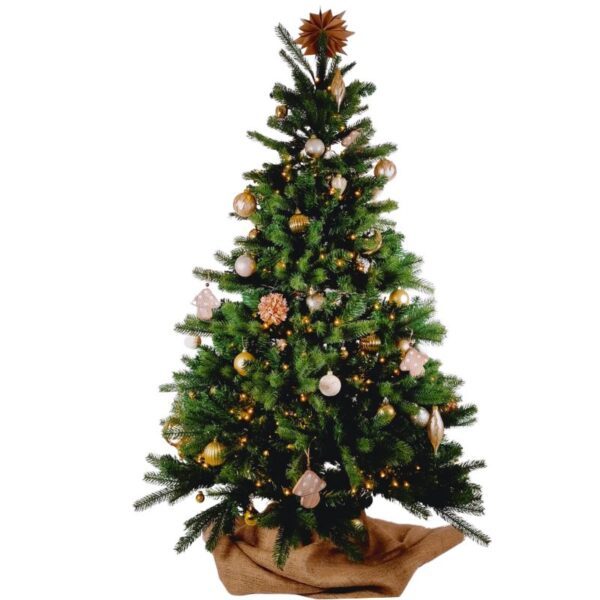Pack Noël Blanc et Or 2 mois - 38€ – Image 2