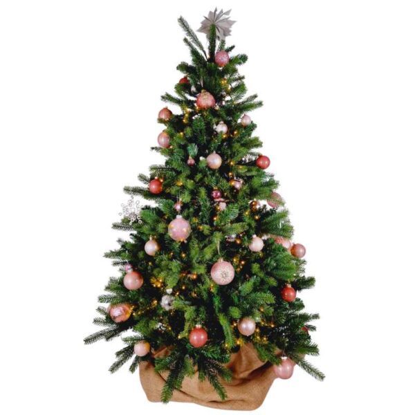 Pack Noël Rose 2 mois - 45 eur