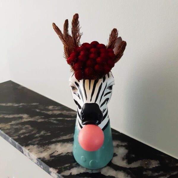 Bubble Zebra – Image 4