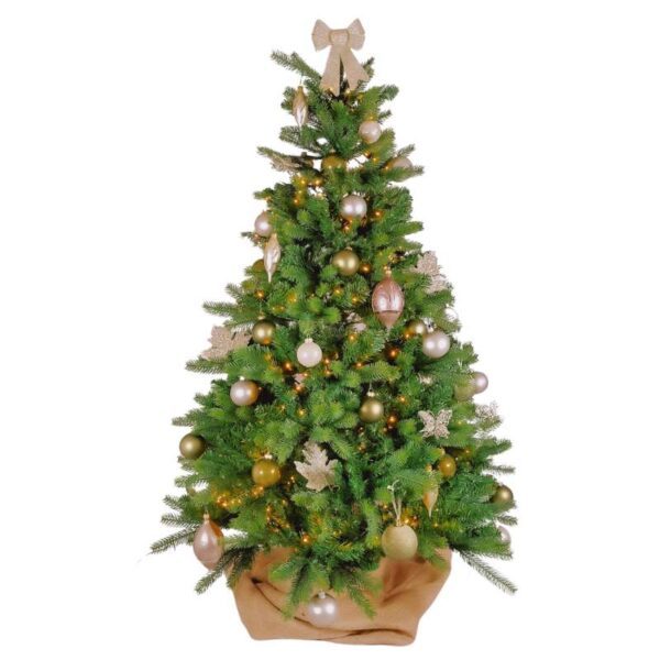 Pack Noël Nature 2 mois - 45€